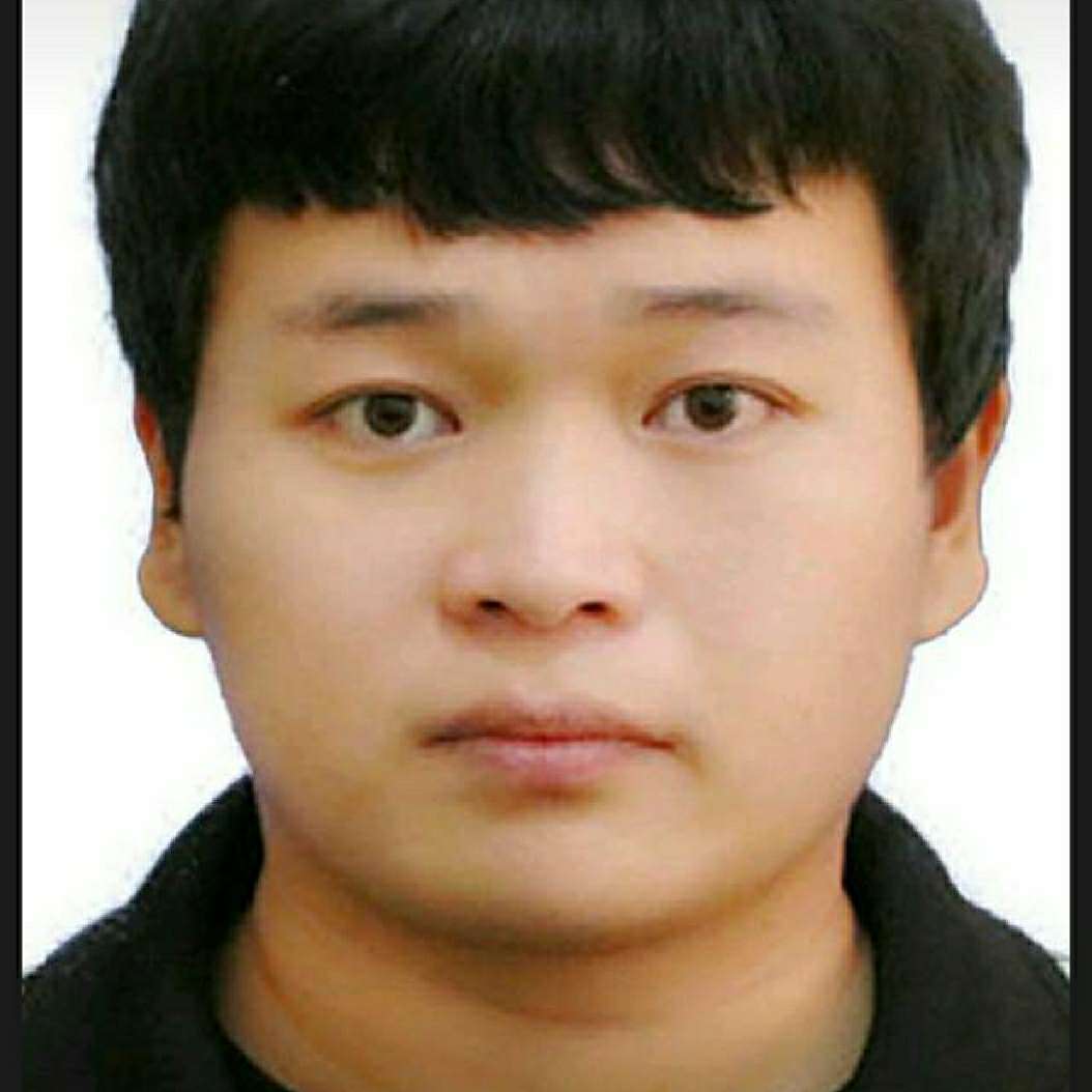无私有小海豚的照片