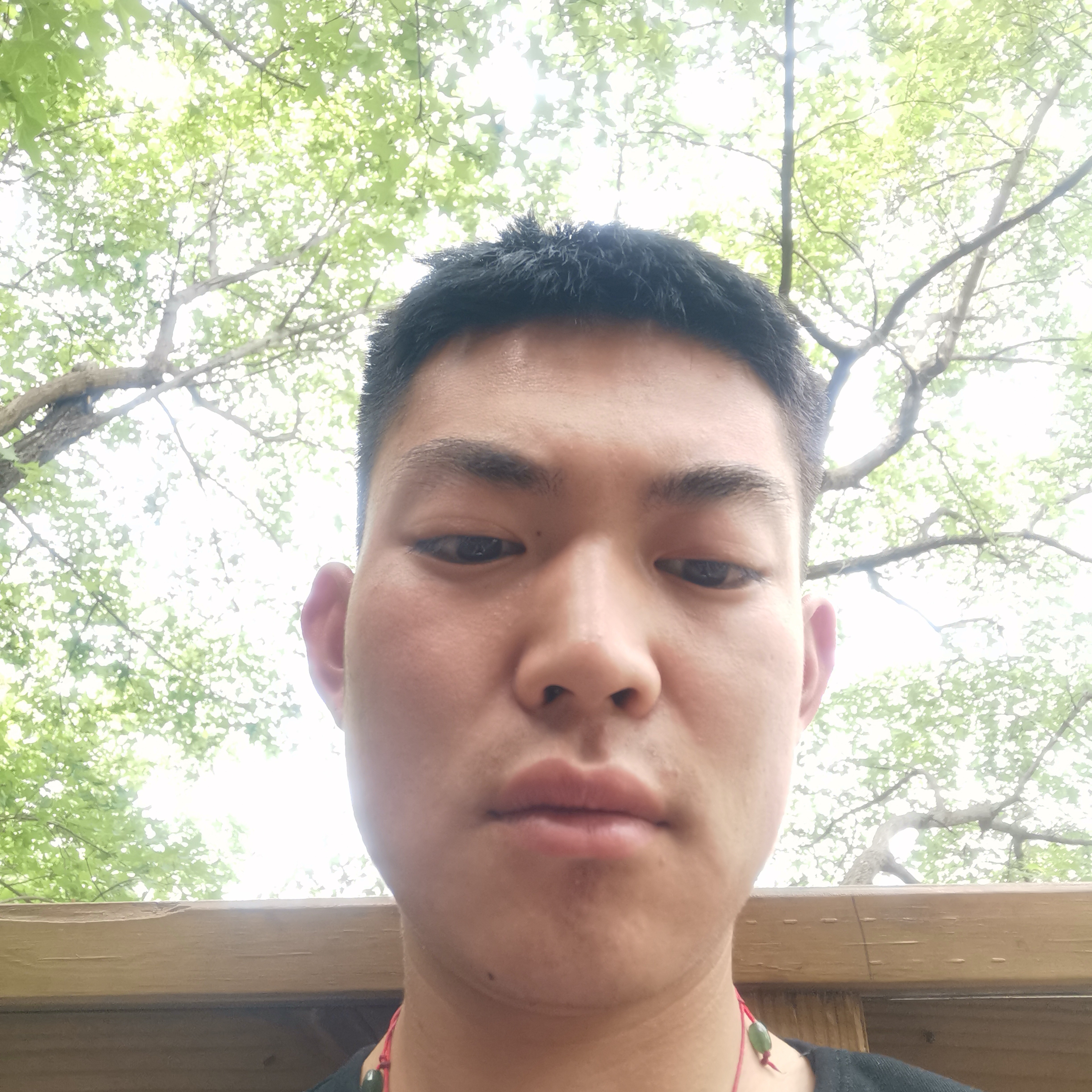 离歌优秀的照片