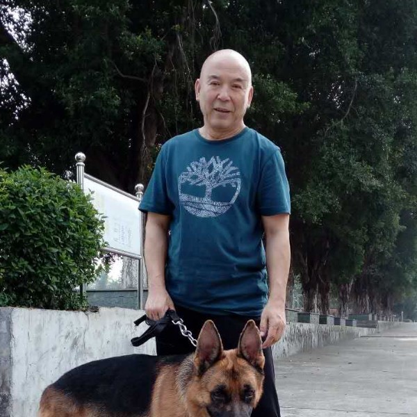 人生若能初见的照片