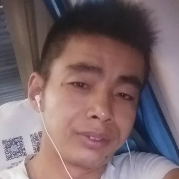 明媚蝶舞的照片