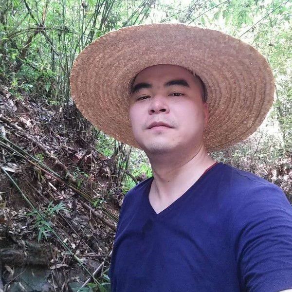 刺猬和单身的照片