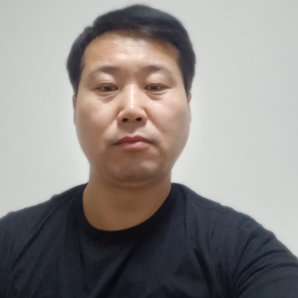 稳重乌龟的照片