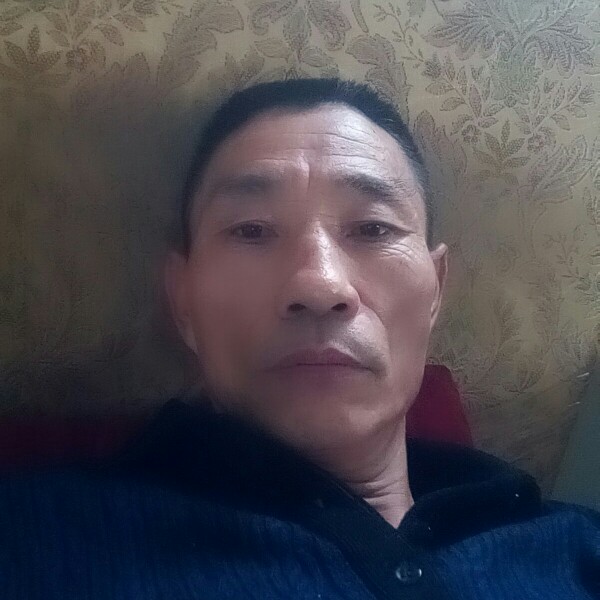 尊敬倾心老鼠的照片