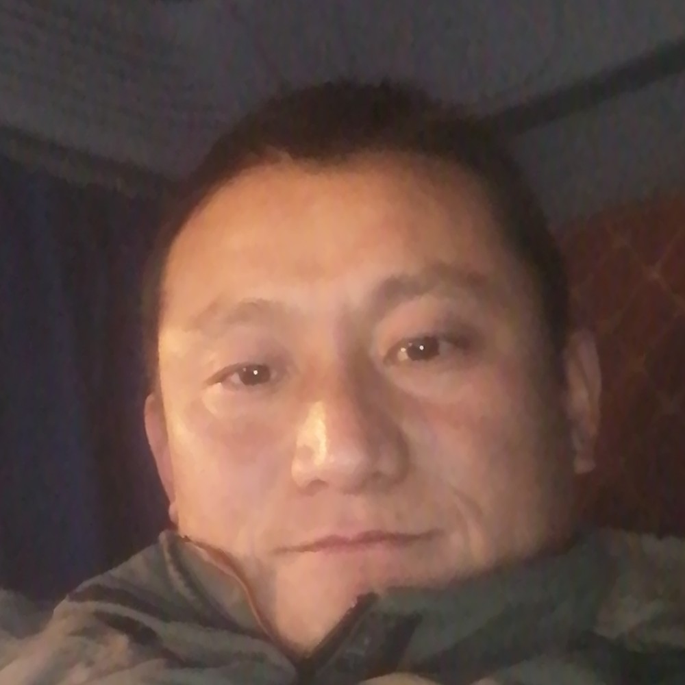 发卡尊敬的照片