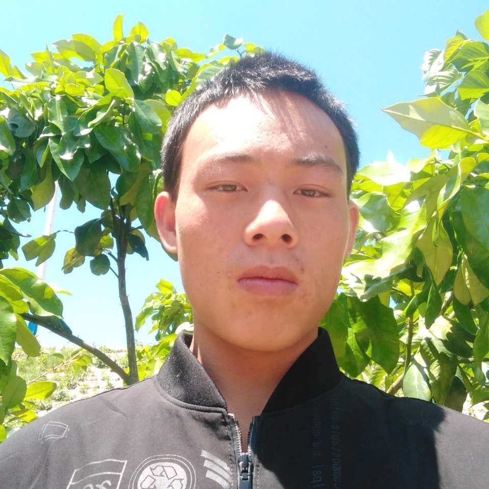 复杂眼睛v的照片