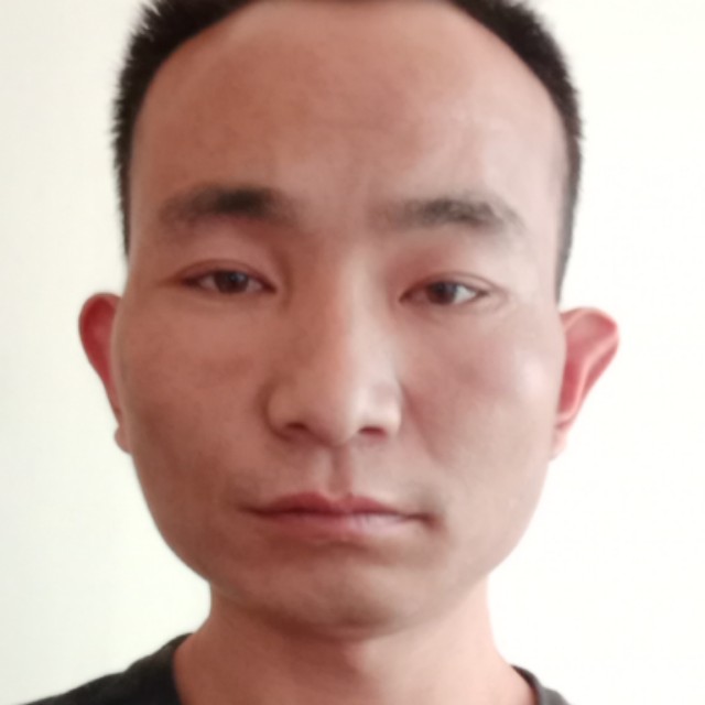 小蜜蜂复杂的照片