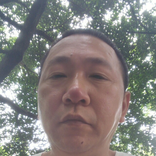 红玫瑰顺利的照片