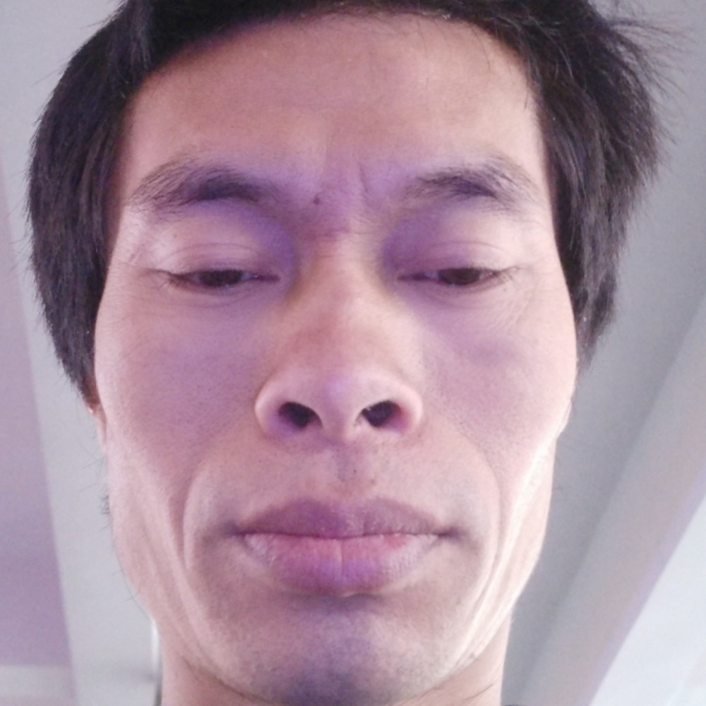 无限扯纸鹤的照片