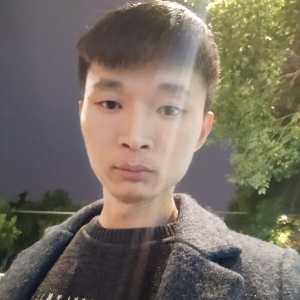 康乃馨漫步美满的照片