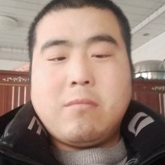 孤艳南飞的照片