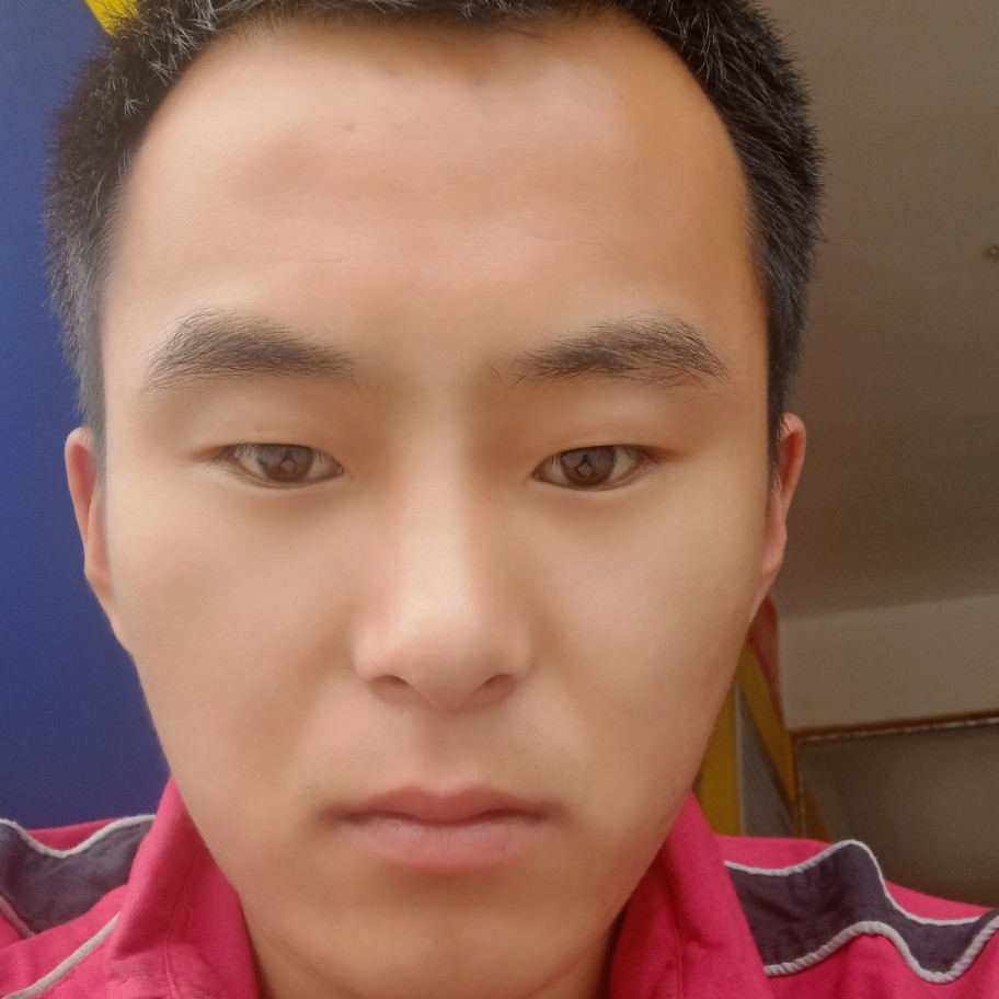 仙人掌魁梧的照片