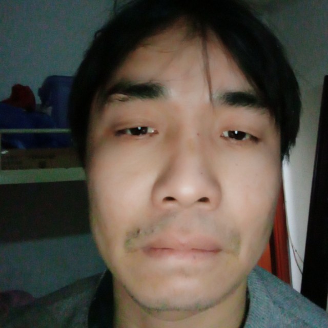 爱情有情的照片