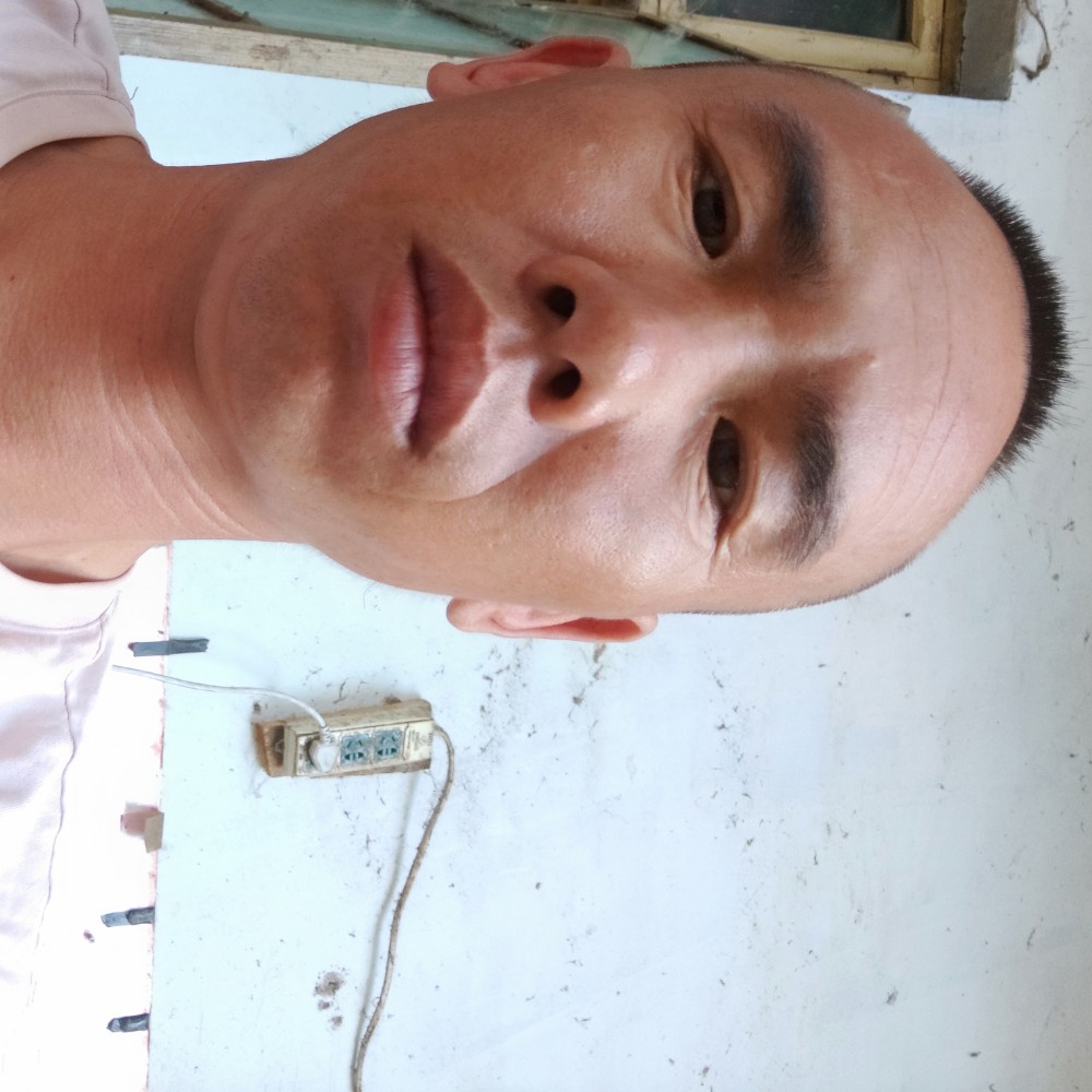 小蘑菇潇洒的照片