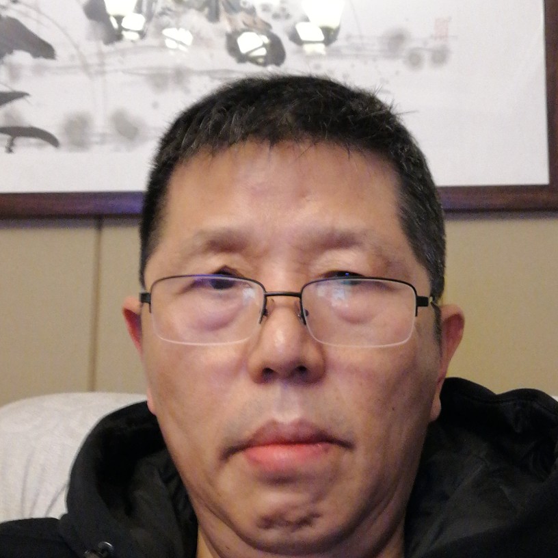 内向太阳的照片