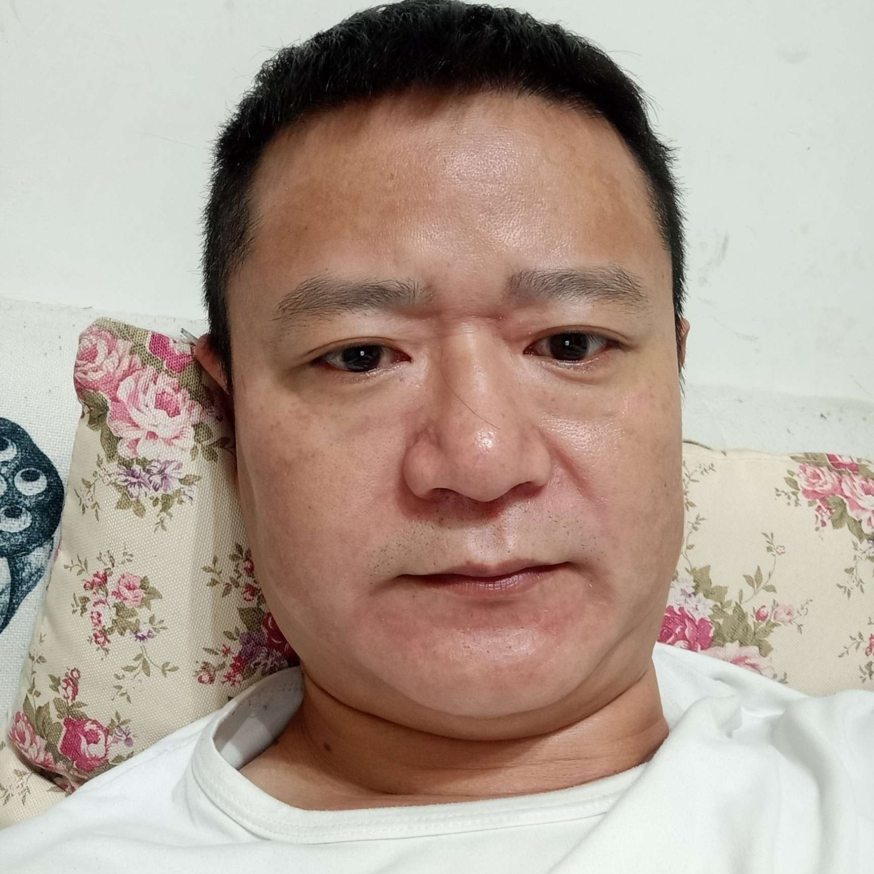 痴情等于醉梦的照片