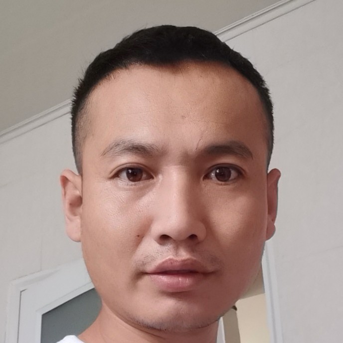谨慎漫步飞鸟的照片