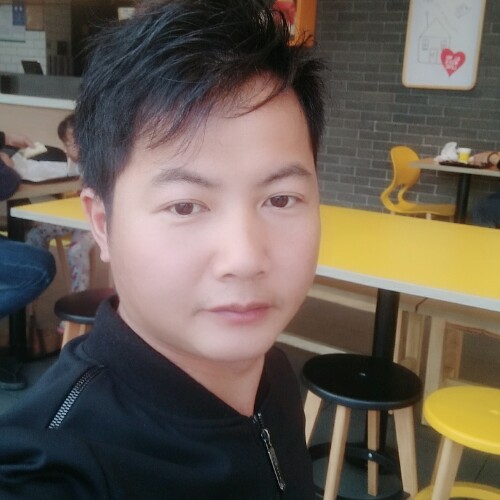 枫的叶子的照片