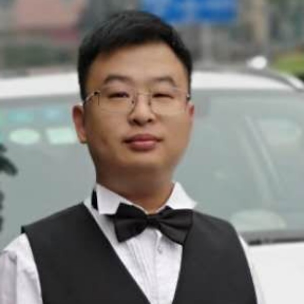 小海豚挽手透彻的照片