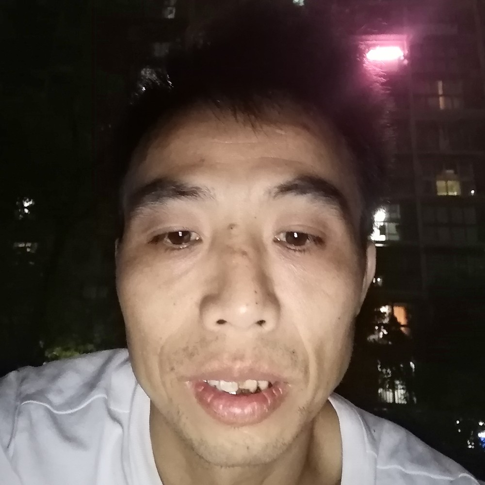 小蜜蜂感动的照片