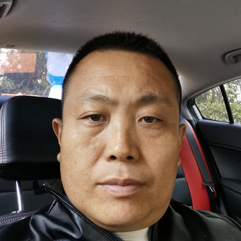 落叶归根118的照片