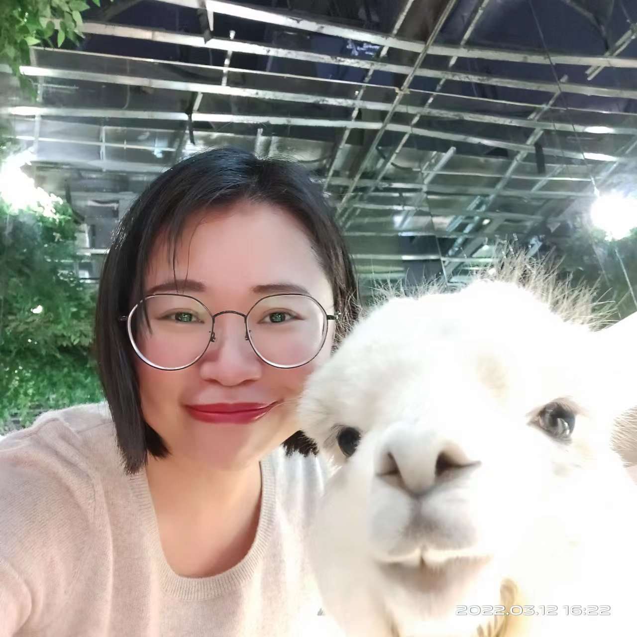 会员958772377的照片