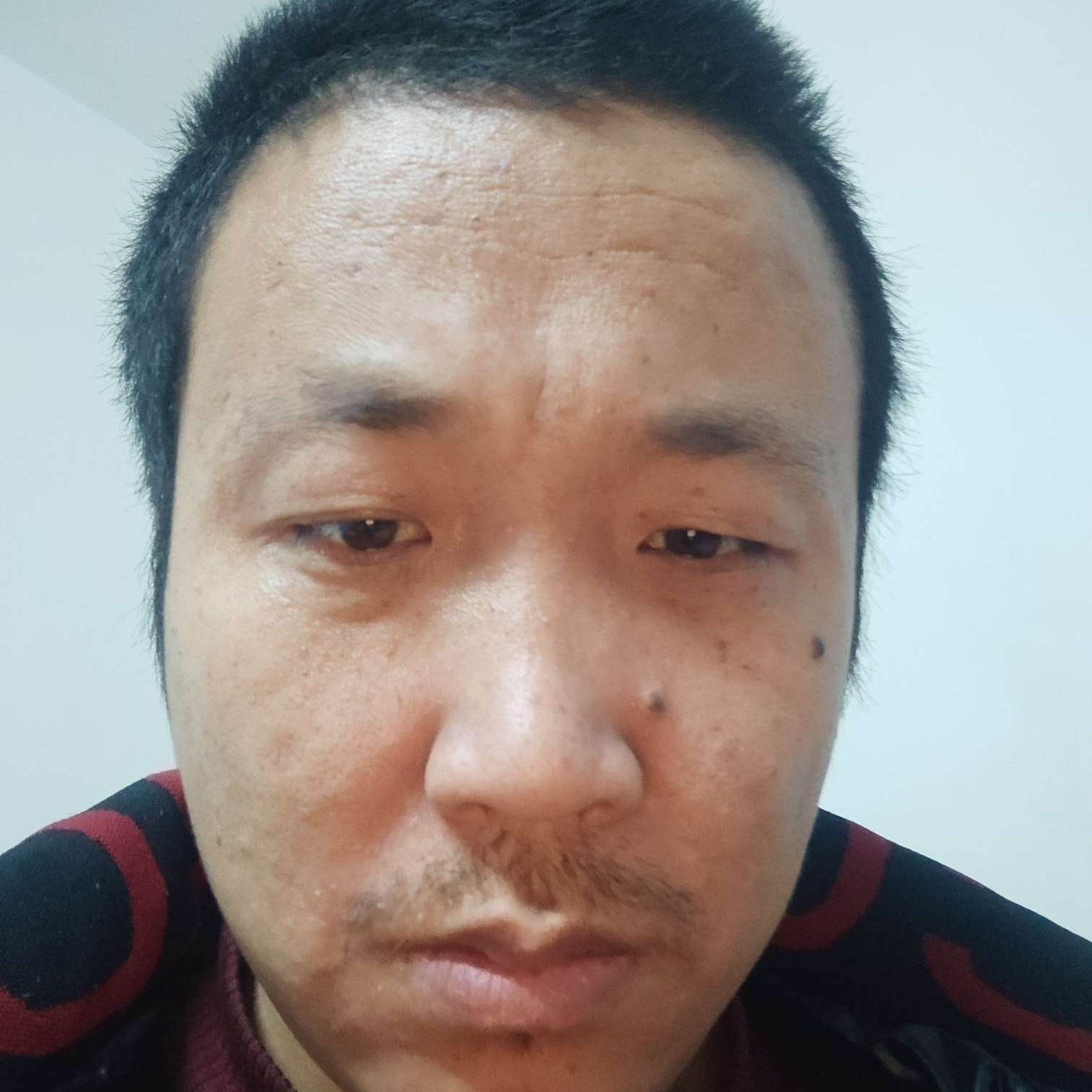 老实迎小懒猪的照片