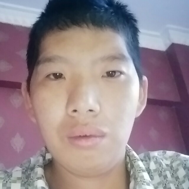 知性猎豹的照片