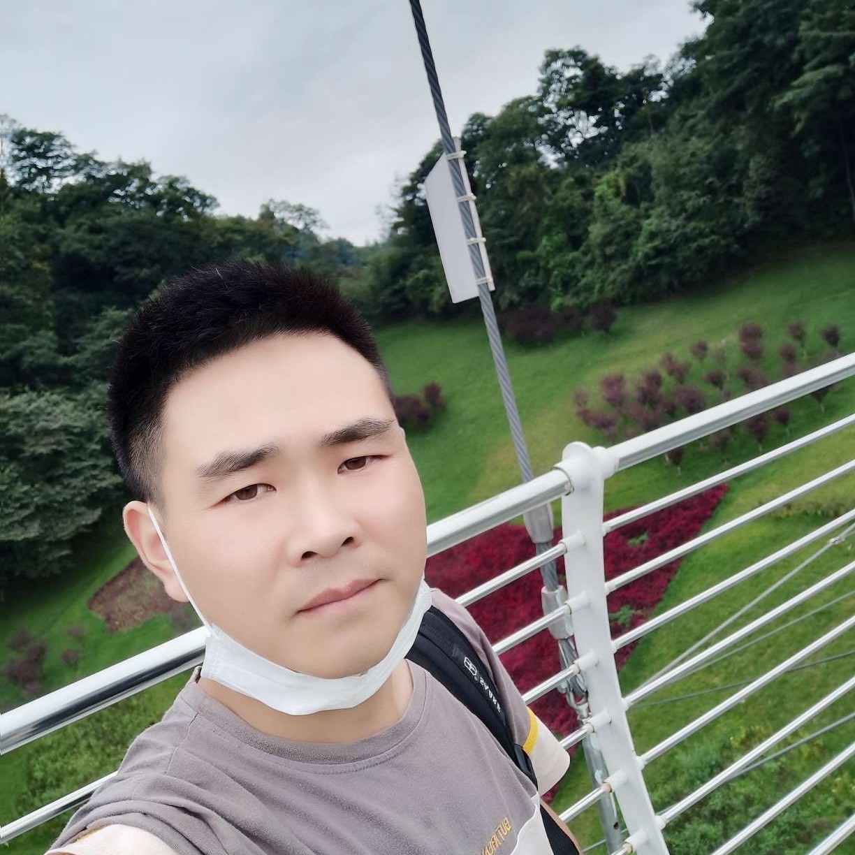 大树回眸拉长的照片