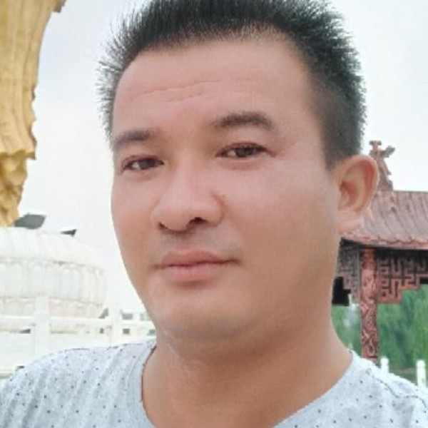 乐观小鸽子的照片