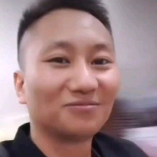 粗暴泪了树叶的照片