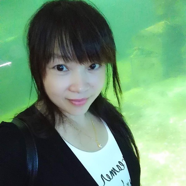 稳重灰狼的照片
