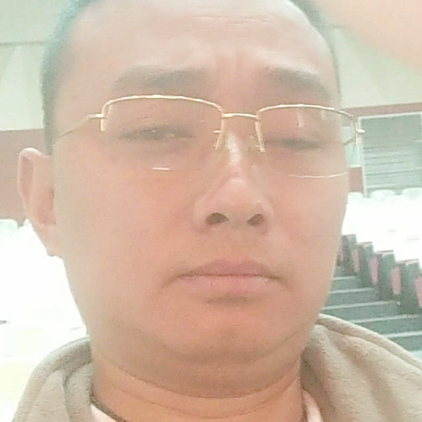 机:灵树叶的照片