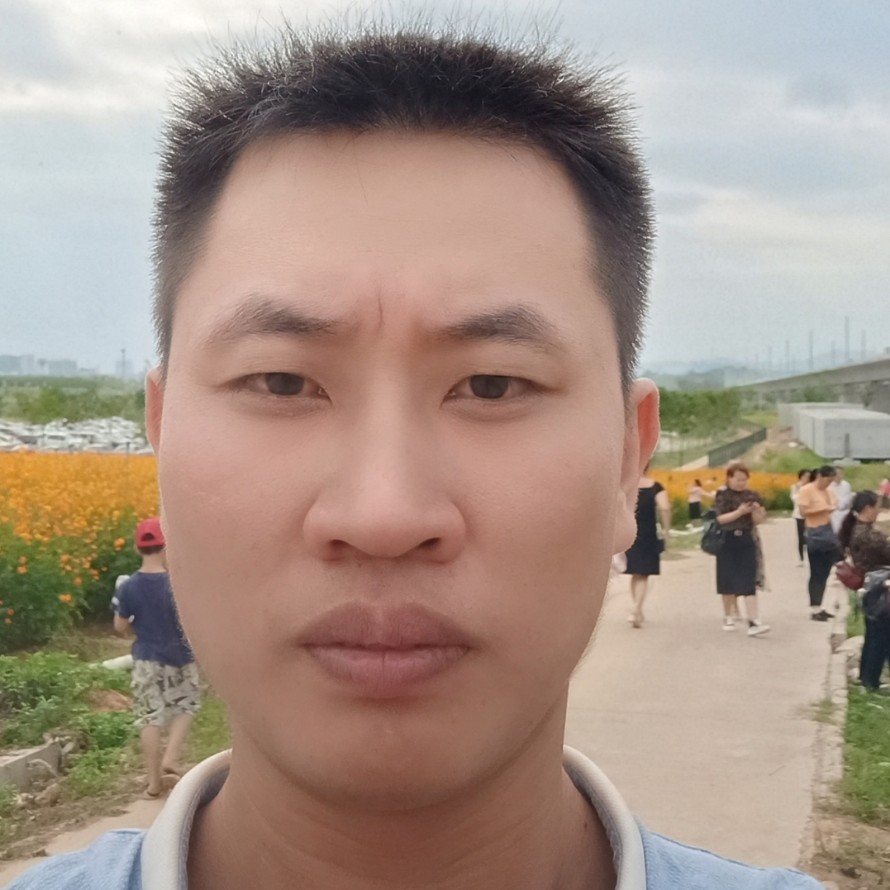 背后漫步小猫咪的照片
