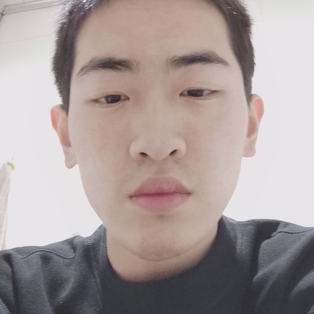 小海豚健壮的照片
