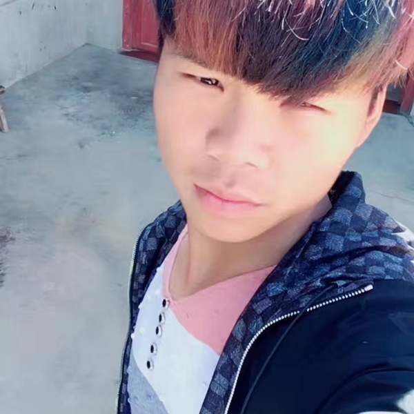 斑马凝眸优雅的照片