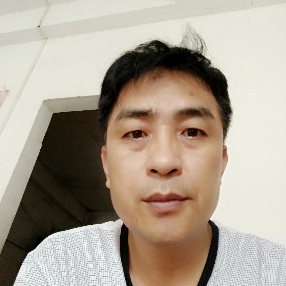小蜜蜂繁荣的照片