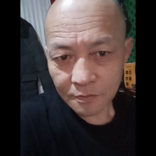 倦鸟先入林的照片