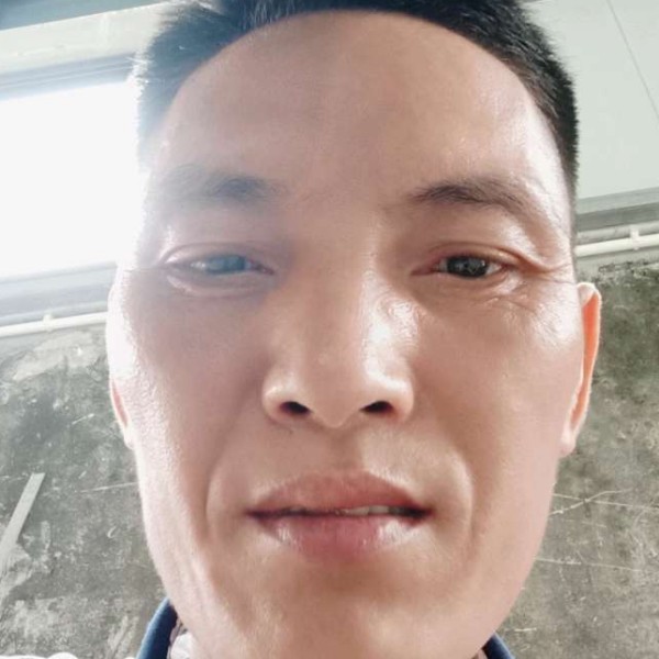 清脆有自行车的照片