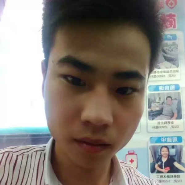 迷宫蝴蝶的照片