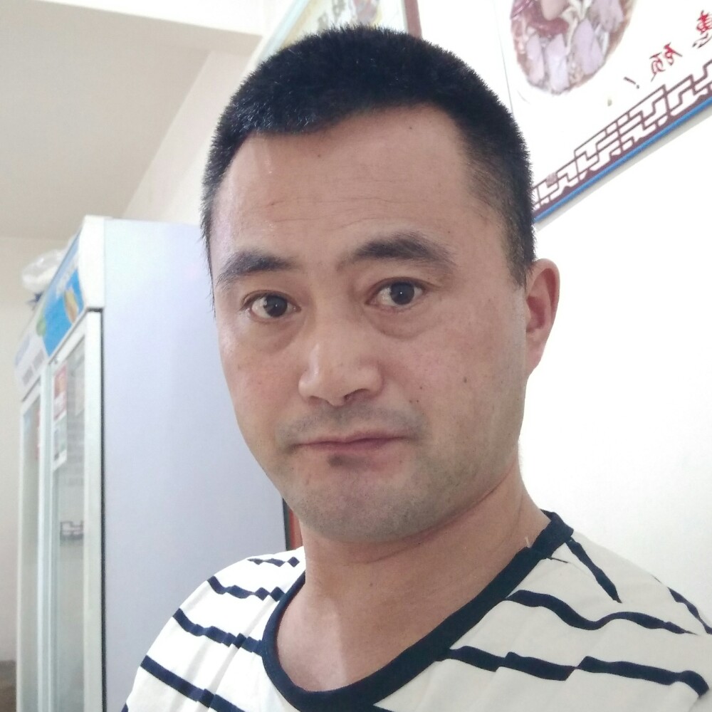 缥缈鸵鸟的照片