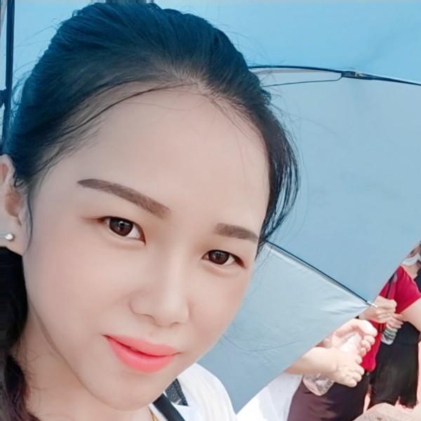 结实的森槿的照片