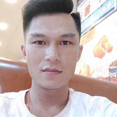 龙猫演变单纯的照片