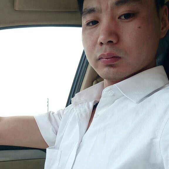 做个上树的猪的照片