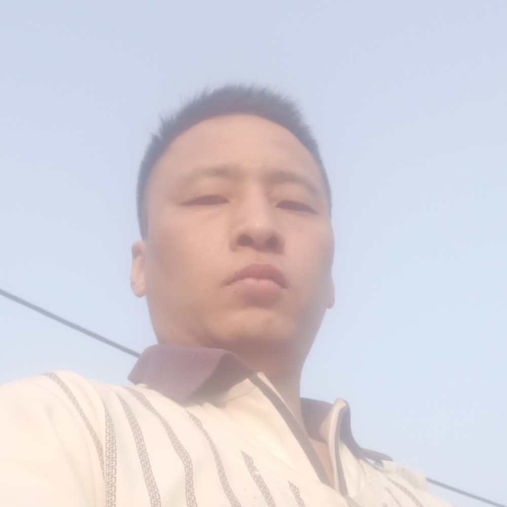 绿茶苦恋错落的照片