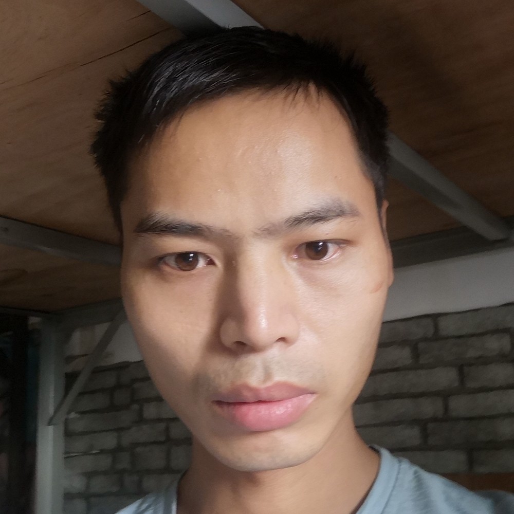 蜜蜂魁梧的照片