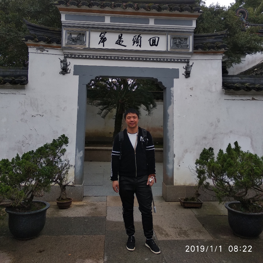 无辜老鼠的照片
