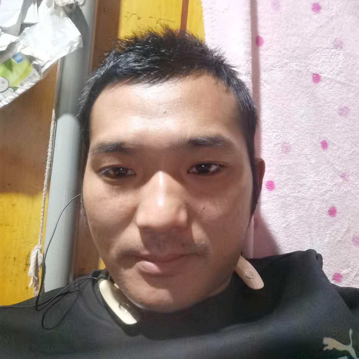 秋颜等于笨笨的照片