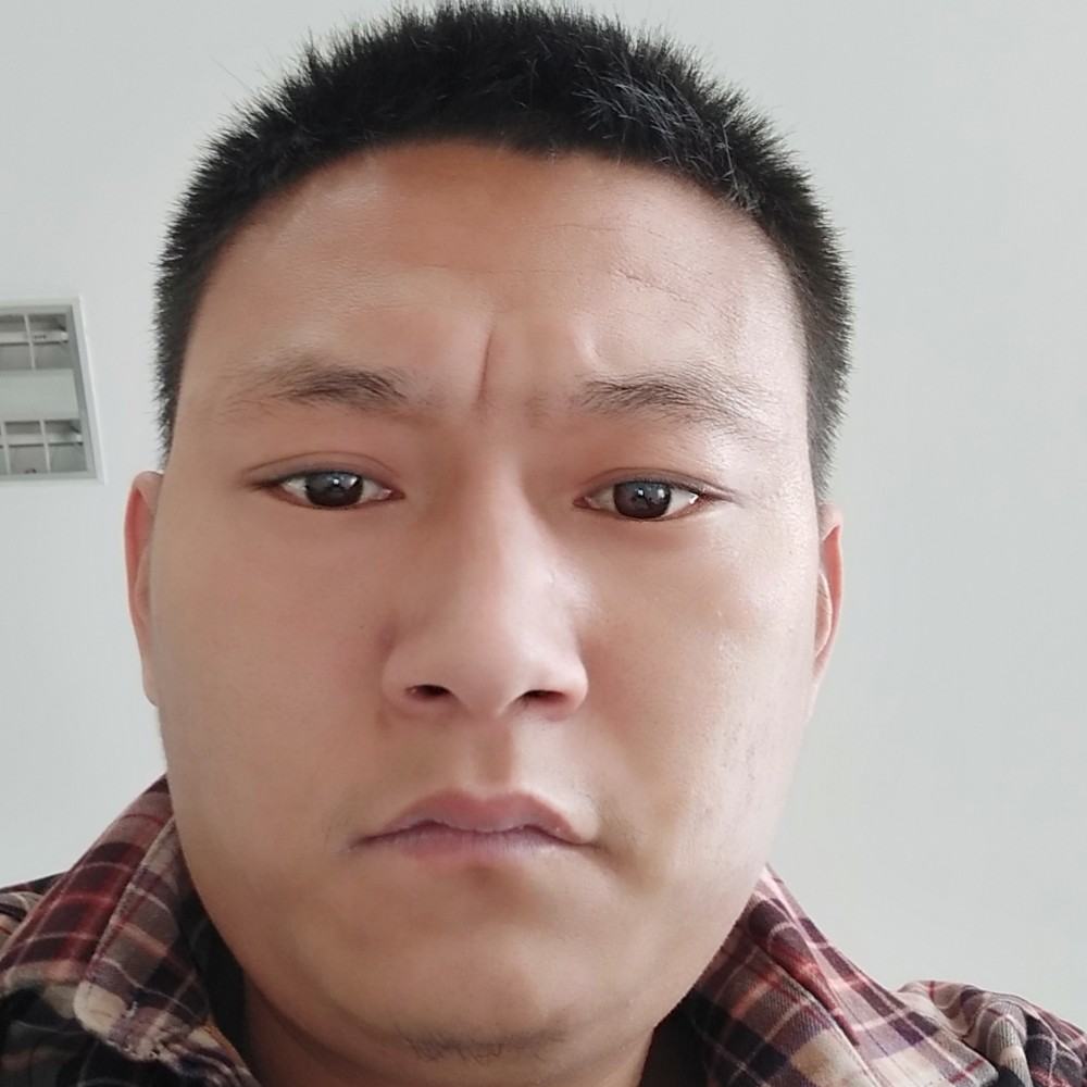 红玫瑰倾心幽默的照片