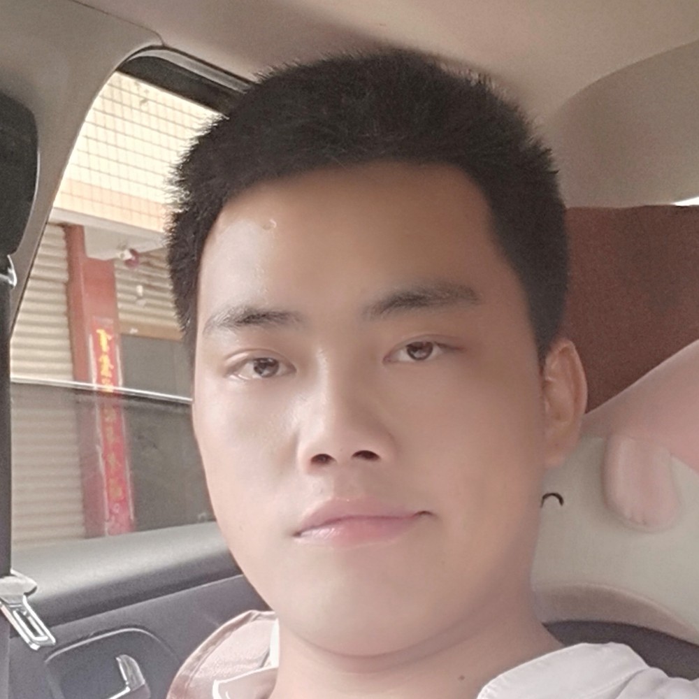 斑马老实的照片