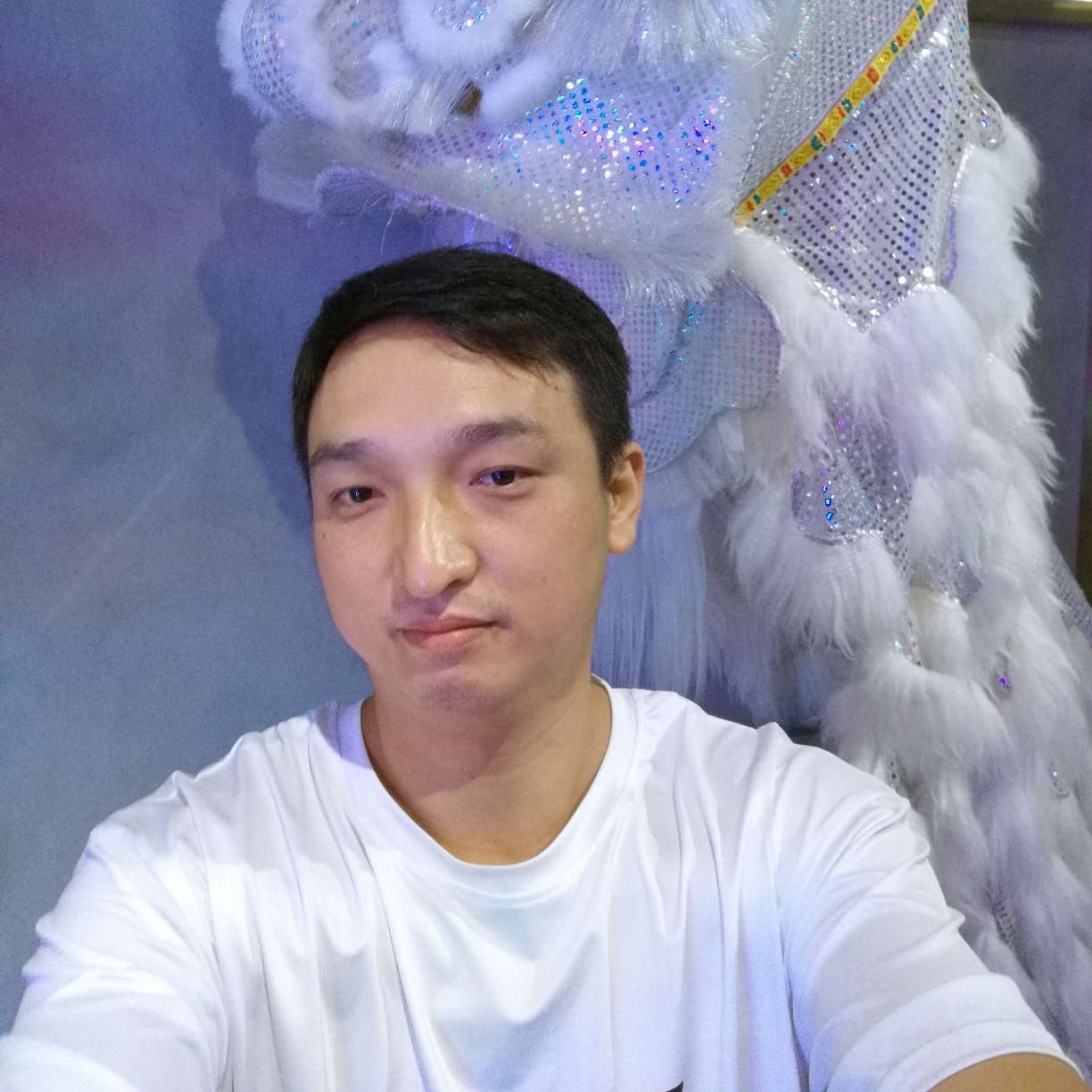 小天鹅与俏皮的照片